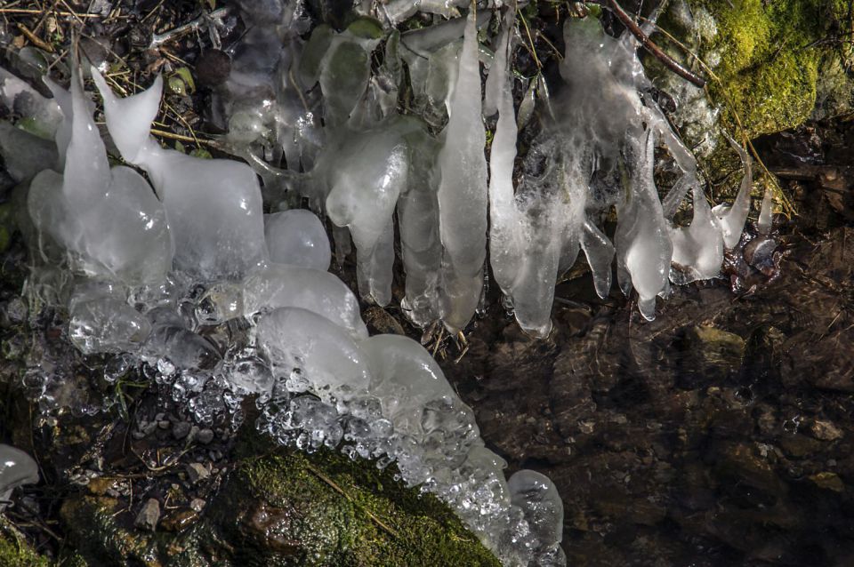 22. januar 16 - foto povečava