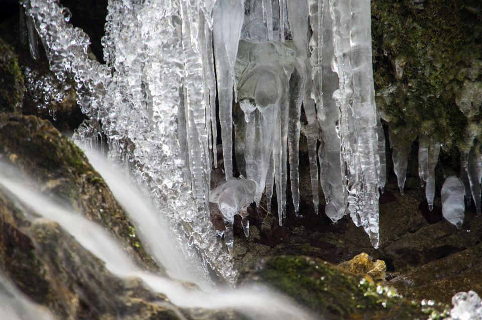 24. januar 16 - foto povečava