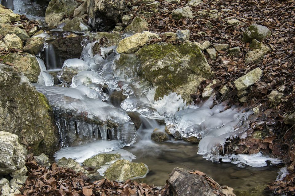 24. januar 16 - foto povečava