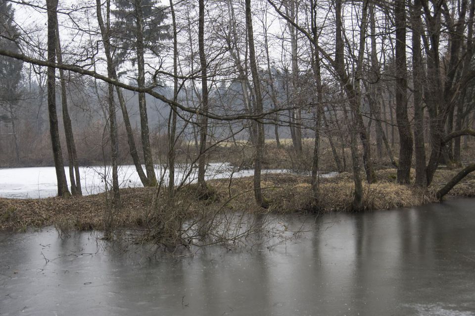 25. januar 16 - foto povečava