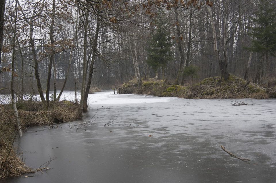 25. januar 16 - foto povečava