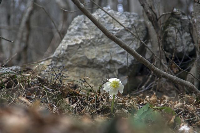 7. februar 16 - foto