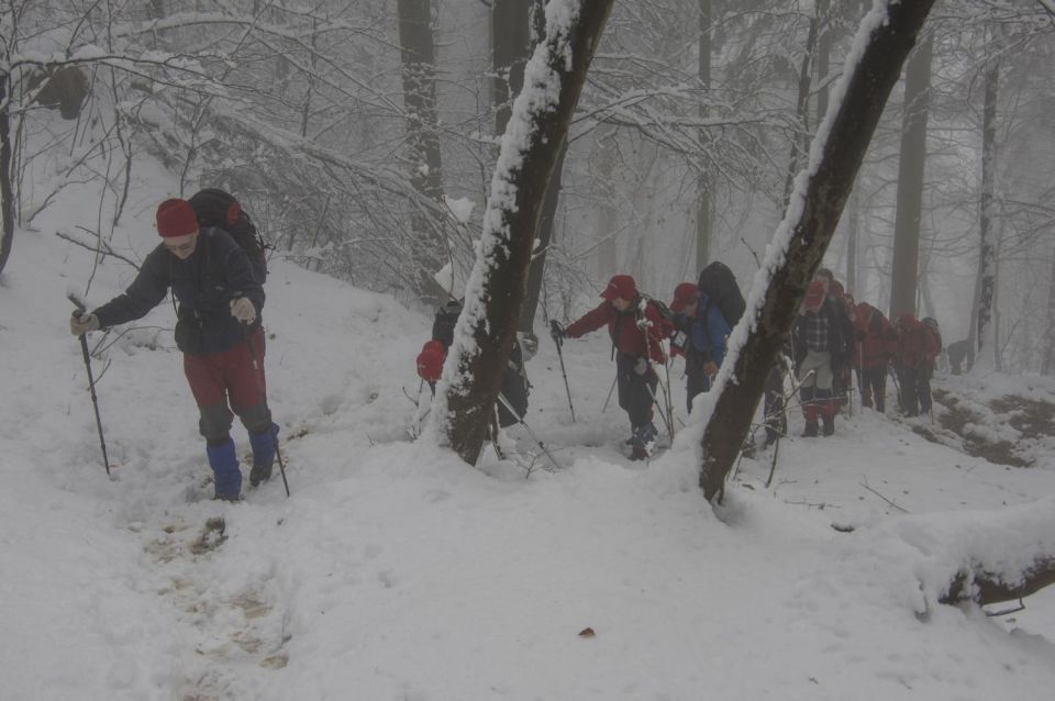 13. februar 16 - foto povečava