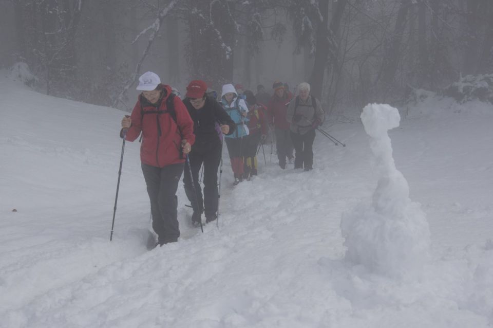 13. februar 16 - foto povečava