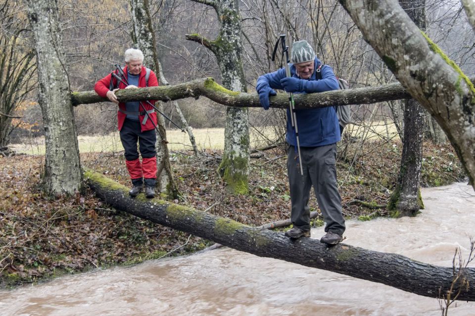 18. februar 16 - foto povečava