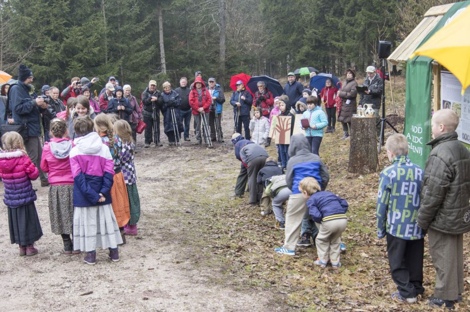 21. marec 16 - foto povečava