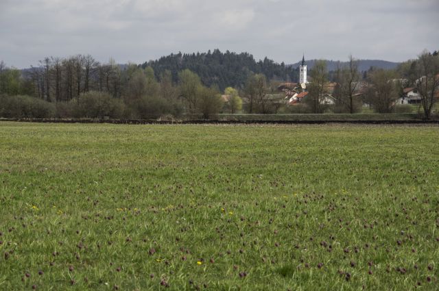 1. april 16 - foto