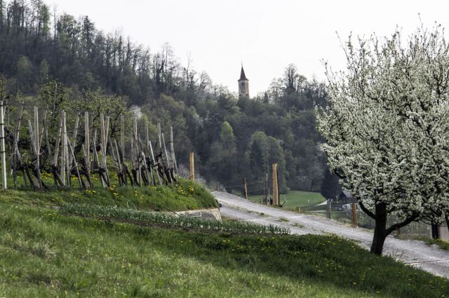 6. april 16 dopldan - foto