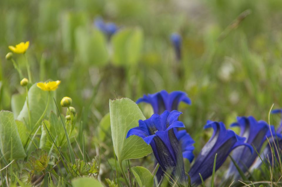 18. april 16 - foto povečava