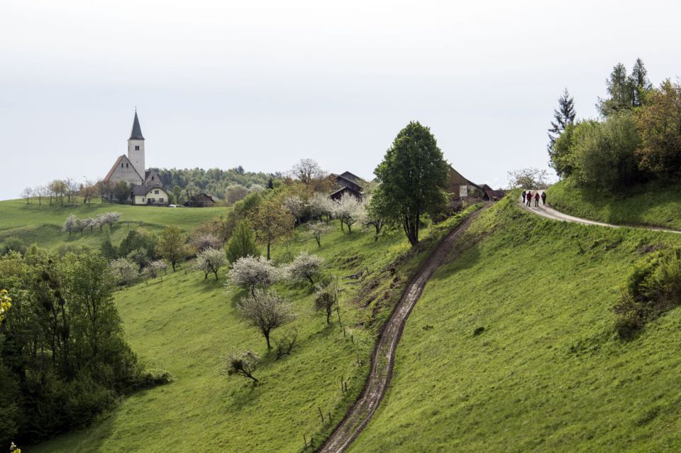 25. april 16 - foto povečava