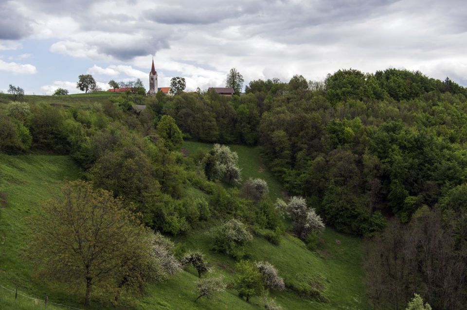 26. april 16 - foto povečava