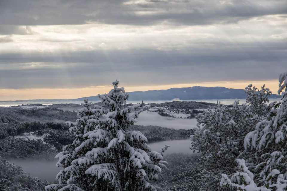 28. april 16 - foto povečava