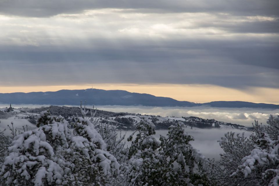 28. april 16 - foto povečava