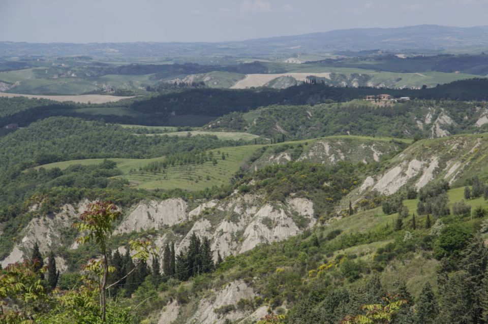 5. maj 16 - foto povečava