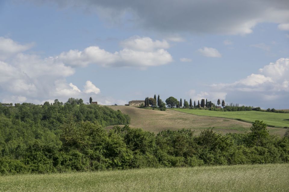 5. maj 16 - foto povečava