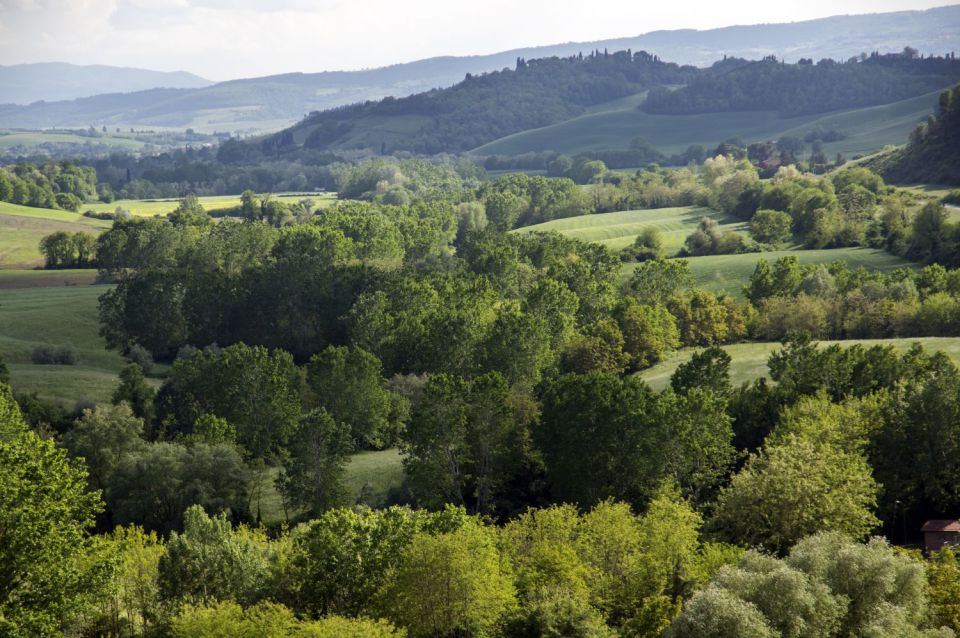 5. maj 16 - foto povečava