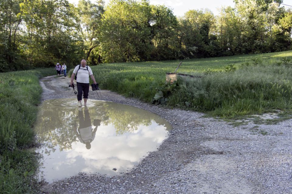 5. maj 16 - foto povečava