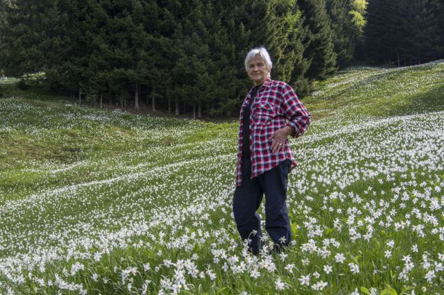 23. maj 16 - foto