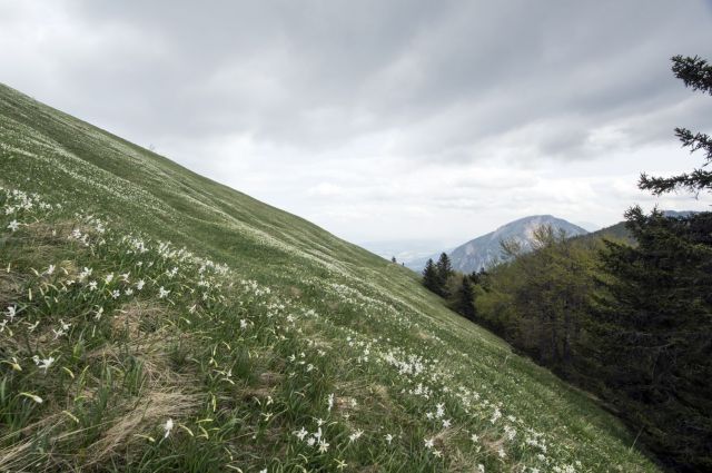 23. maj 16 - foto