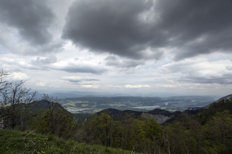 23. maj 16 - foto povečava