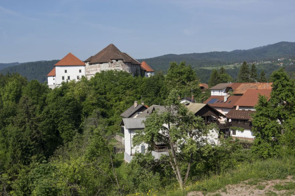 26. maj 16 - foto povečava