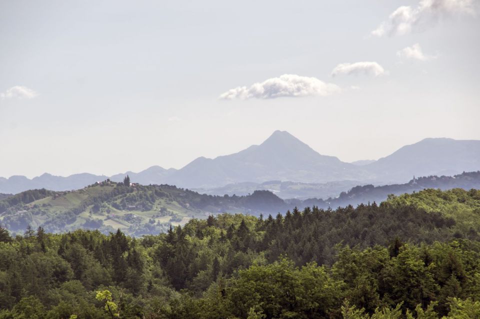 31 maj 16 - foto povečava