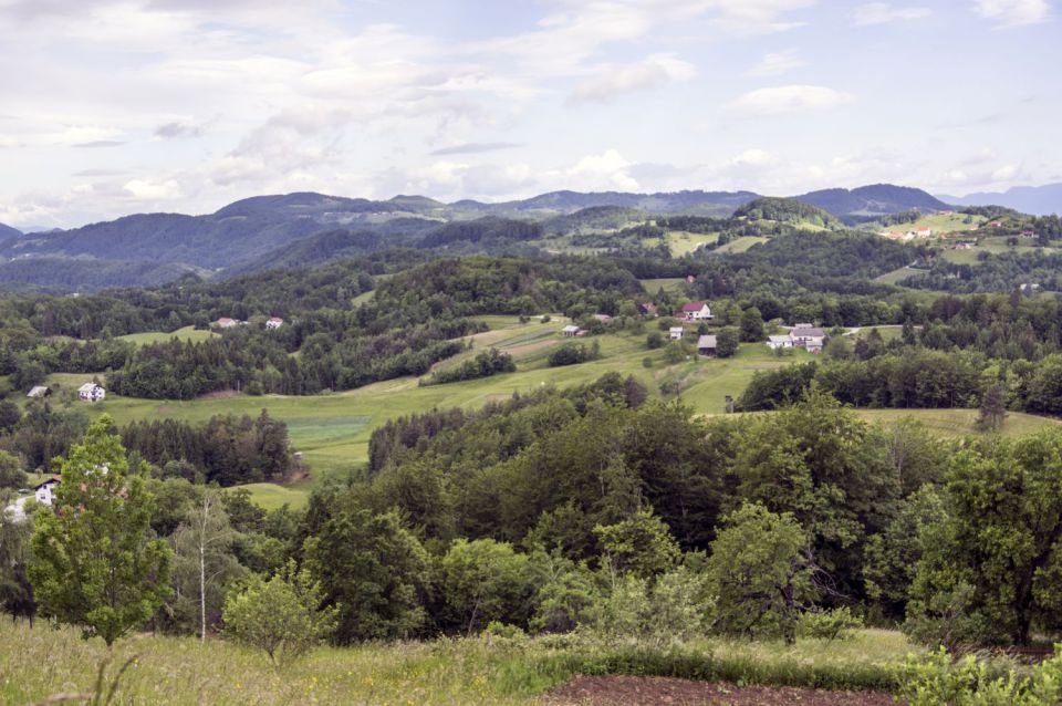 31 maj 16 - foto povečava