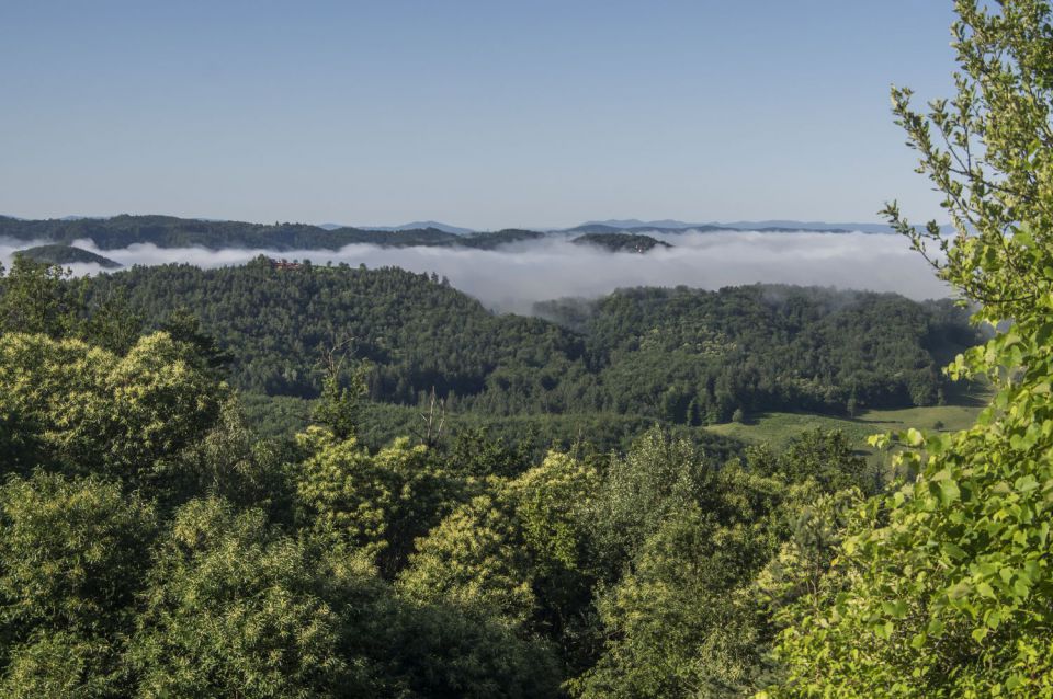 28. junij 16 - foto povečava