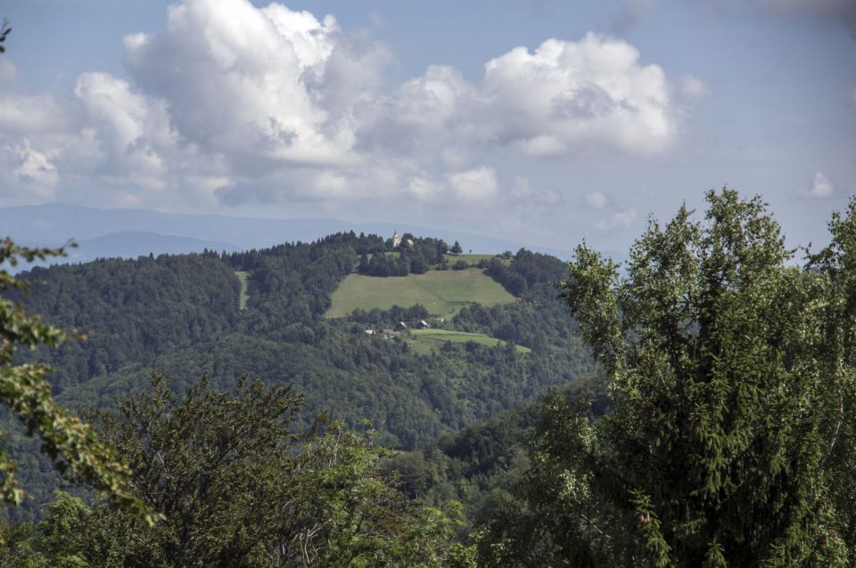 29. juilij 16 - foto povečava