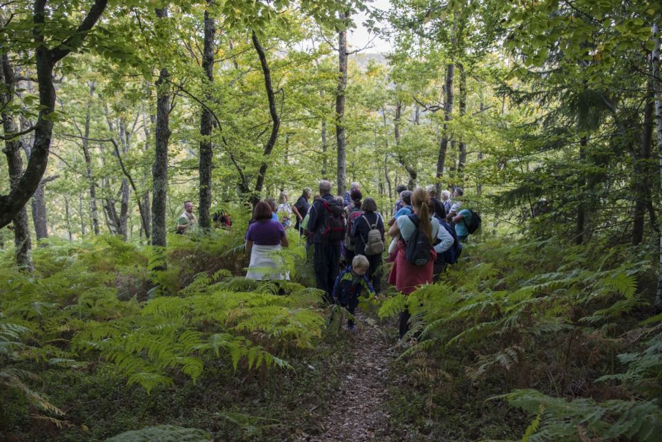 27, september 16 - foto povečava