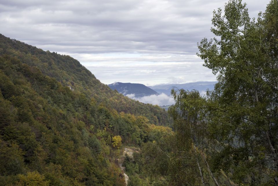 12. oktober 16 - foto povečava