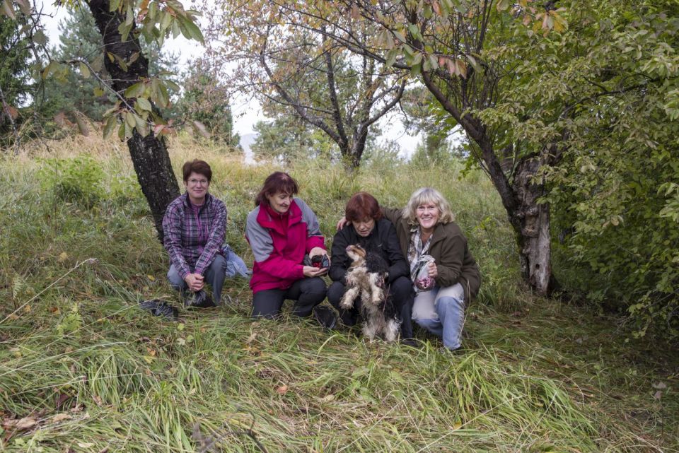 12. oktober 16 - foto povečava