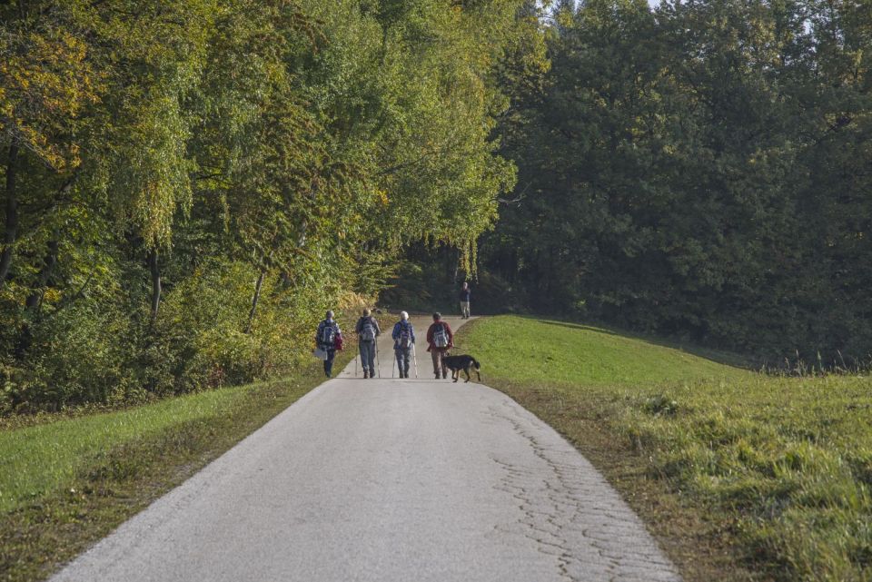 17. oktober 16 - foto povečava