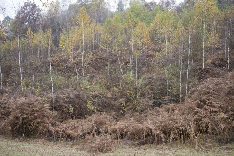 24. oktober 16 - foto povečava