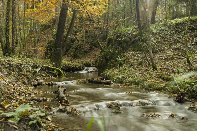 24. oktober 16 - foto