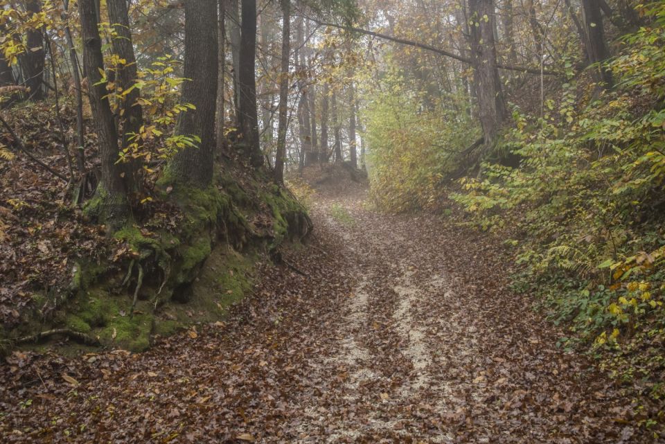 26. november 16 - foto povečava