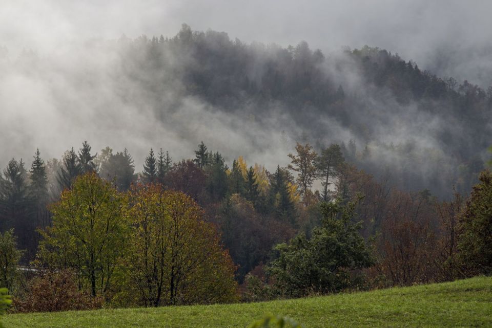 26. november 16 - foto povečava