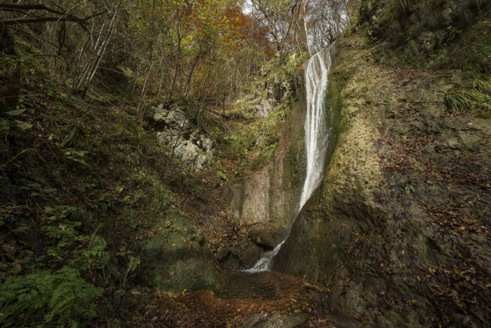 2. november 16 - foto povečava