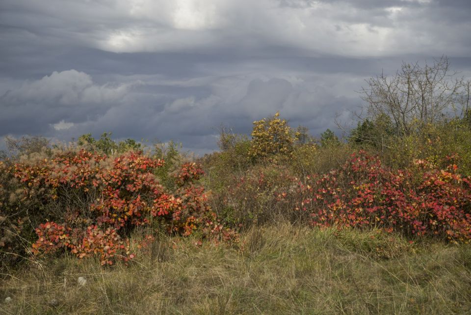 7. november 16 - foto povečava