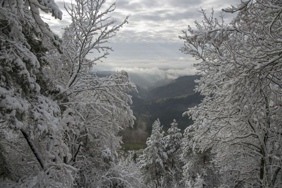 9. november 16 - foto povečava