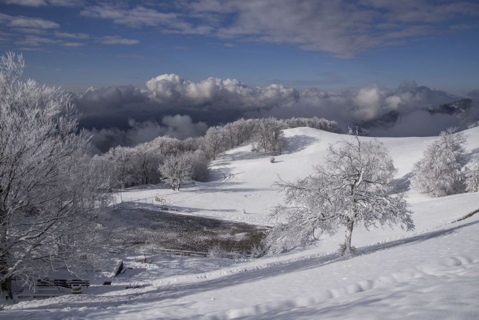 9. november 16 - foto povečava