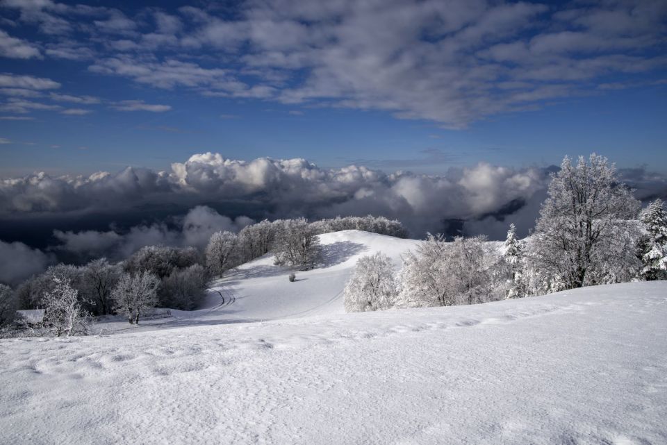 9. november 16 - foto povečava