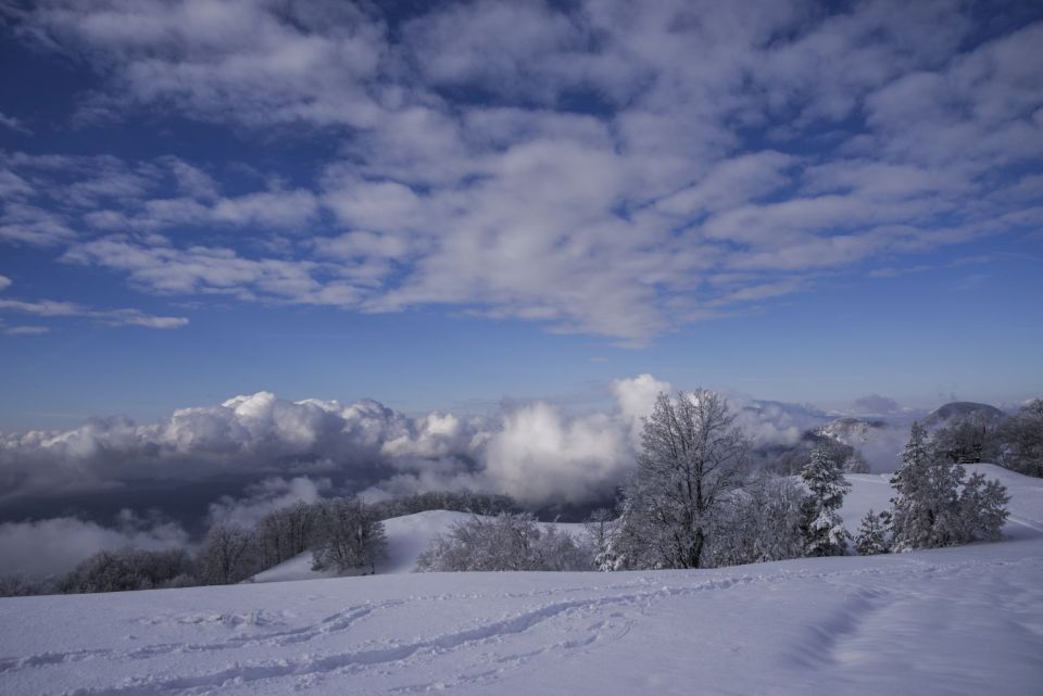 9. november 16 - foto povečava