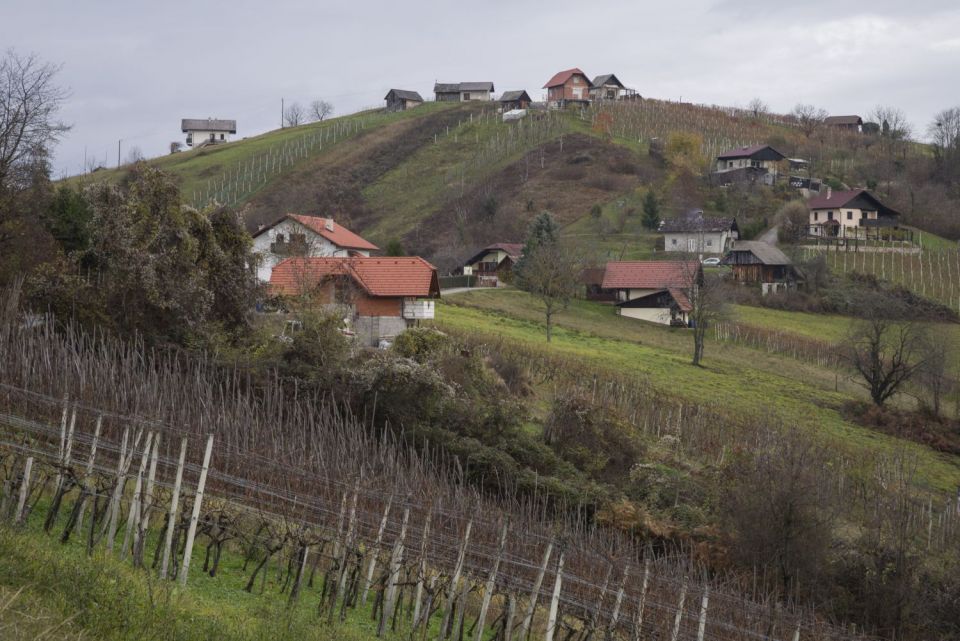 19. november 16 - foto povečava