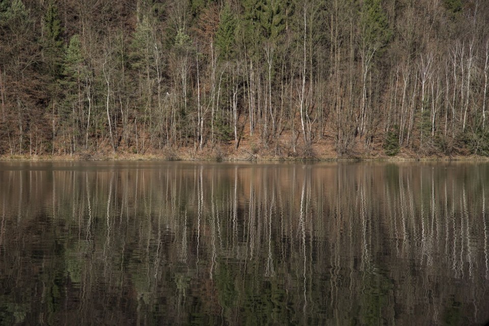 28. november 16 - foto povečava