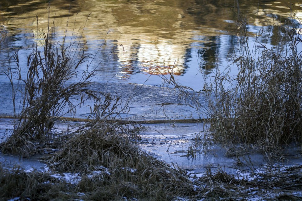 7. januar 17 popoldan - foto povečava