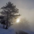 23. januar 17