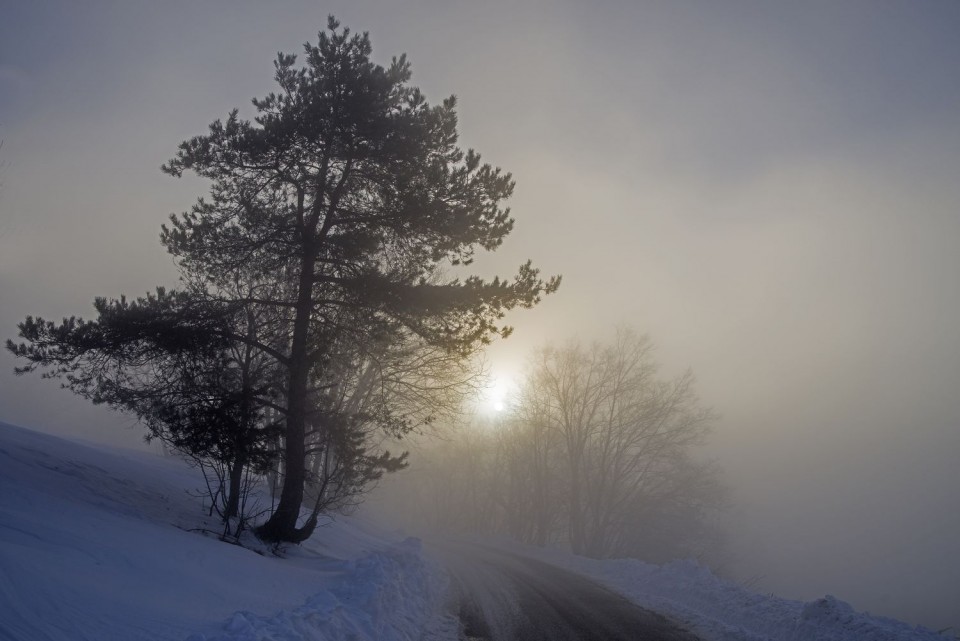 23. januar 17 - foto povečava