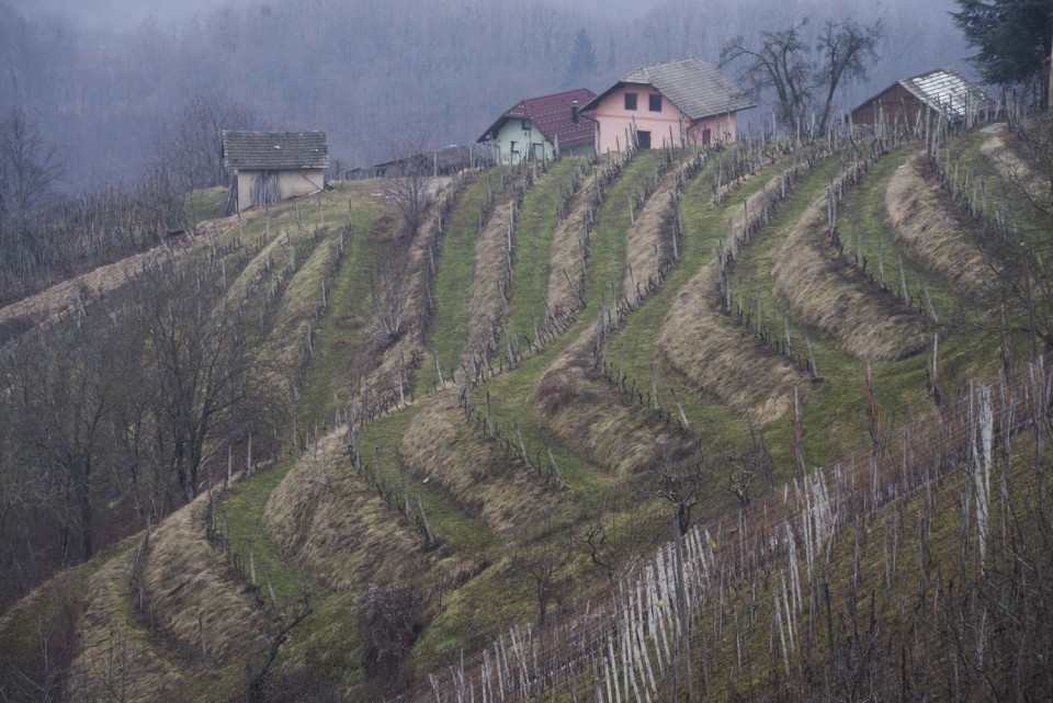 13. februar 17 - foto povečava