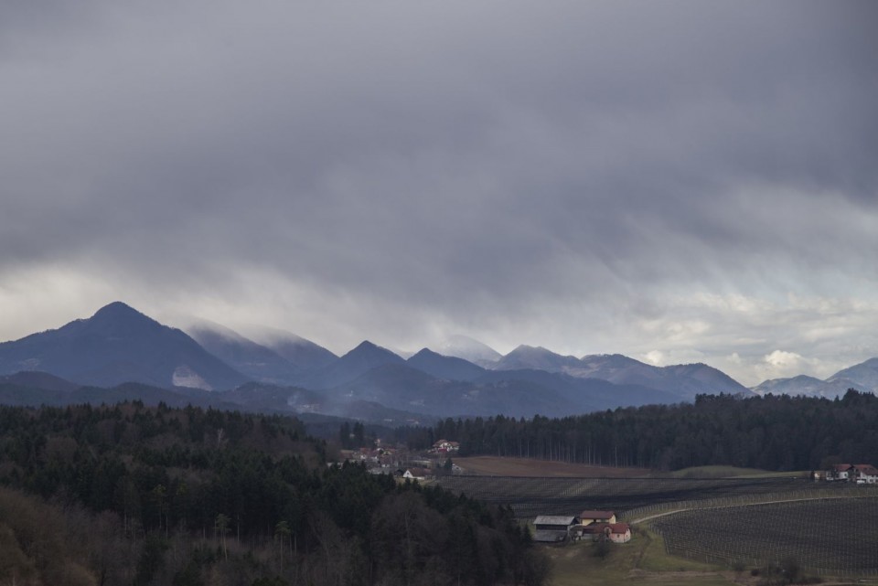 6. marec 17 - foto povečava